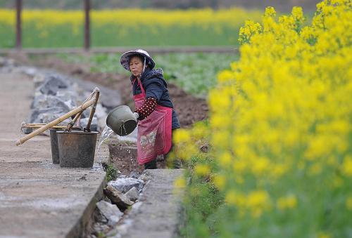 2月26日,重庆市南川区大观镇农民在开展春耕生产。