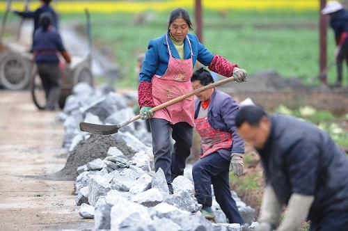 2月26日,重庆市南川区大观镇农民在进行农田基础设施建设。