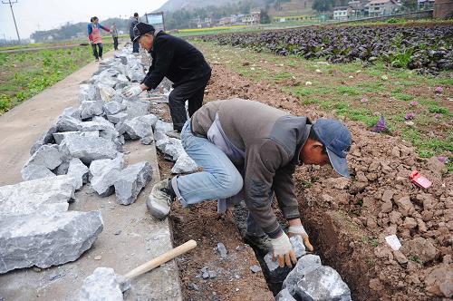 2月26日,重庆市南川区大观镇农民在进行农田基础设施建设。