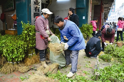 �������ݣ��ϼ�۸� ɣ������