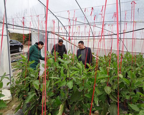 福建尤溪:加强节后农产品质量监管