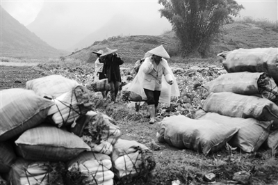 �����޳ǣ�����ʱ���ղ�æ