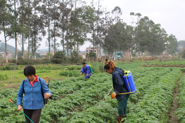 �����ֱ���ǿ������������