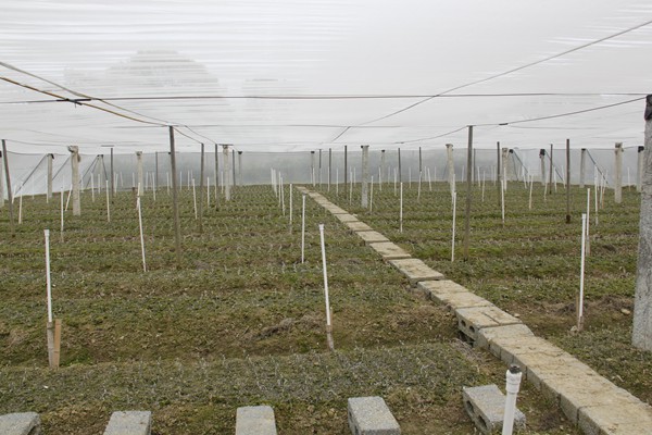 �������ݣ����ش���ֹ�æ ���ʹ���������