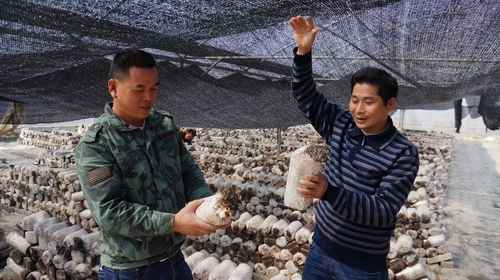 �������Ǹ����ɰش��ʳ�þ�������