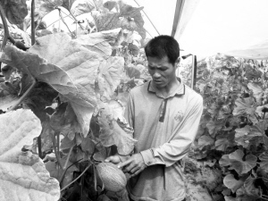 ���϶����У����ܹ��г����� ��ũ����������ȡ�