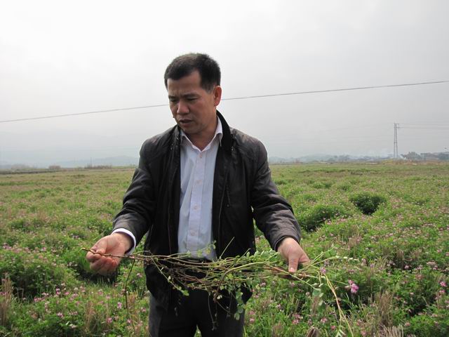 �����������̷ʳ���ϲ��