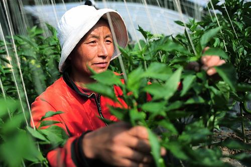 ຣʡУԭʩũҵԲũ¸