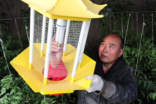 ֶߵũڸɱƻݣ227㣩