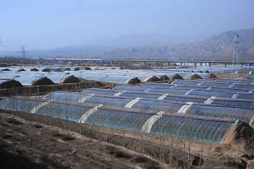 ຣʡֶߵҴ227㣩