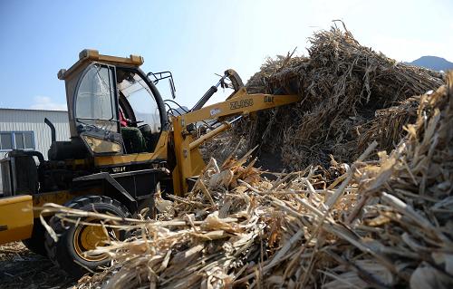 3月1日,在河北平泉县奥科瑞丰新能源公司生产基地,工作人员驾驶工程车辆搬运秸秆。