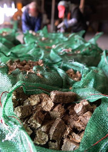 3月1日,在河北平泉县奥科瑞丰新能源公司生产基地,工人在整理已压块的秸秆。