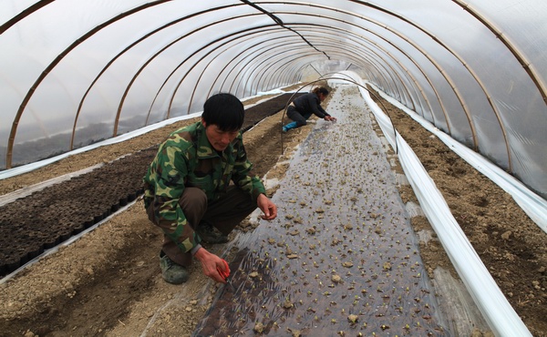 ¹ãÎ÷Áé´¨£ºÆøÎ»ØÉý Ìï¼äµØÍ·´º¸û±¸¸ûæ