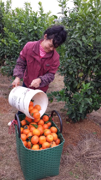 �����������ӽ���Ʒ�����������ֻ�óɹ�