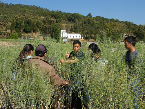 ������Ϫũ����Աѧϰ�Ͳ�������鼼��