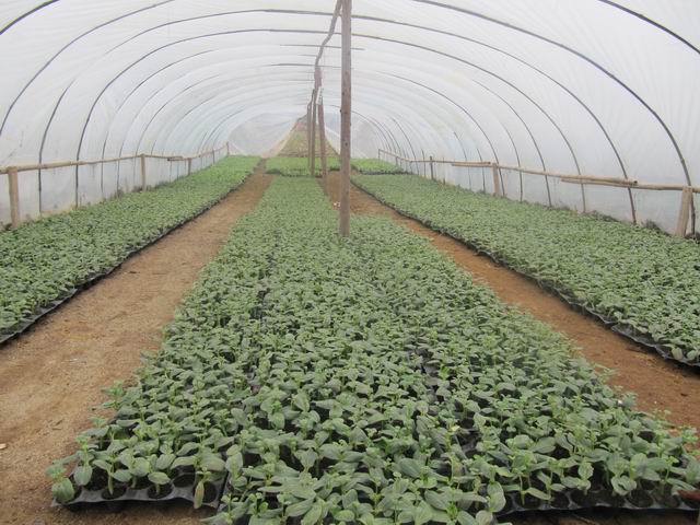 �������������������������������ز�ȡ����ʽ�����������ϲ�ҵ��չ