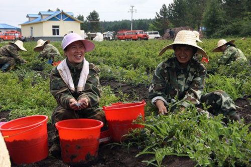 内蒙古呼伦贝尔:打造“蓝”色经济 实现绿色崛起