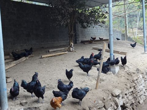 ��������Ī����ֳ������Ȼ��ֳ ����ζ������