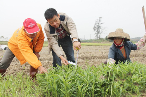 ���ϣ����ֹϲ������������� ���ڰ���Ԫ����������