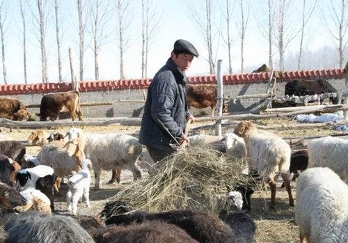 ½ŵʦʮŶٴȷᰲȫɴ