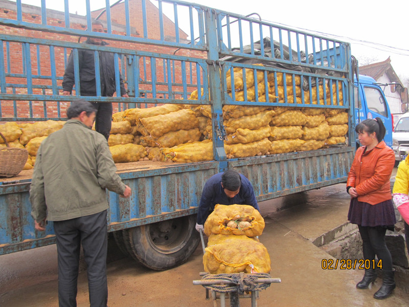 ����������԰��վ������������Ʒ��