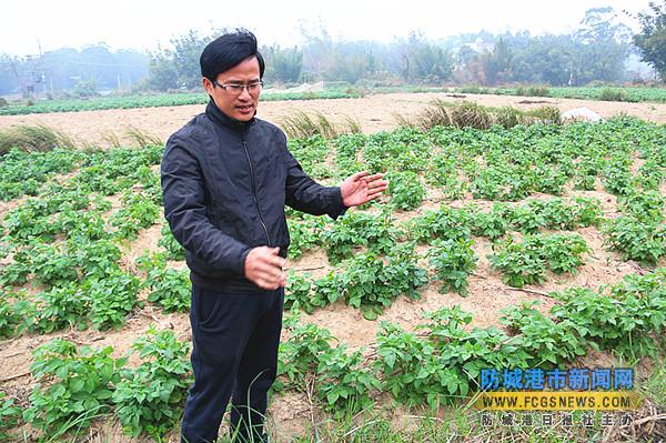 �������Ǹ��У����¶��ֺ���������������