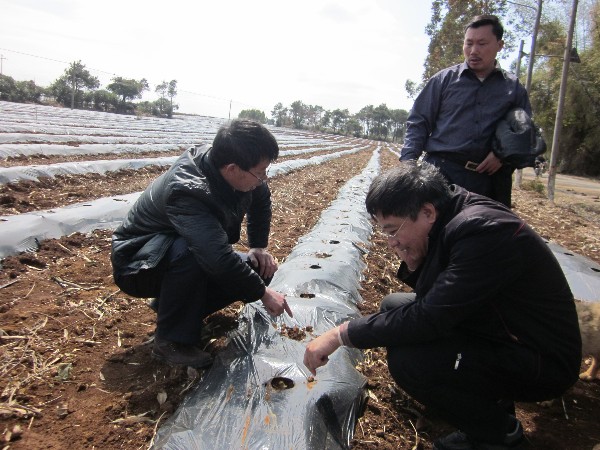 ������ɽ��ץ�á�������ȫ���ƽ��������ִ��ܹ���