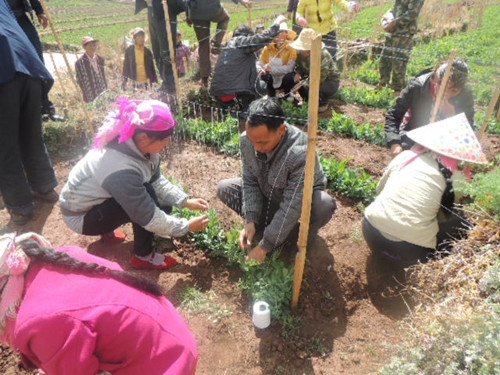 云南武定县插甸乡抓紧抓实春耕备耕工作