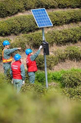 3月5日,党员服务队队员在茶叶生产基地检查除虫设备的线路。