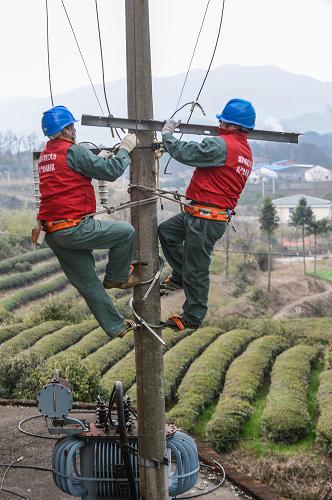 3月5日,党员服务队队员为茶叶生产基地更换老旧的线路设备。