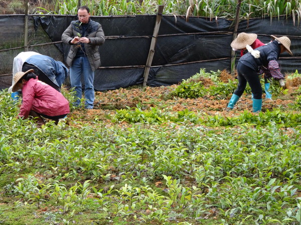 ����������Ұ�������������ľ������