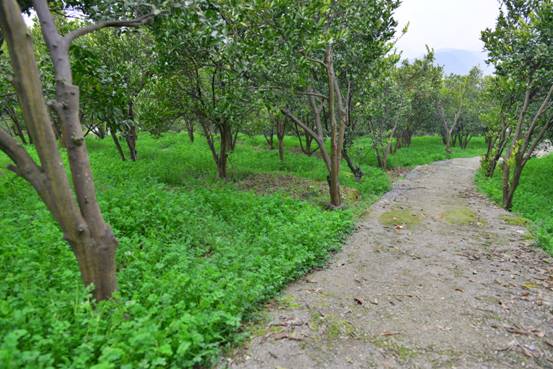 ������˳�ذ���Ķ�̷ʳ���ϲ��