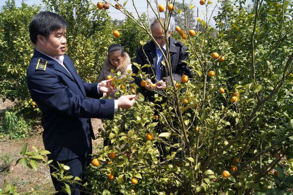 ˲ֲ߼Աںؽϴ̽԰и̽ۻŲ鹤