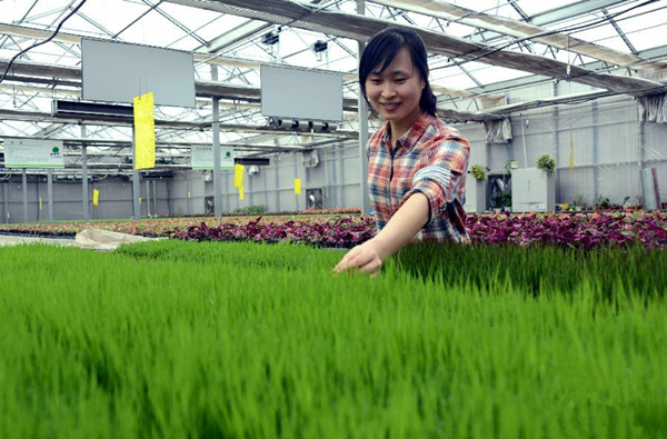 ºÚÁú½£º¿Æ¼¼±¸´º¸û