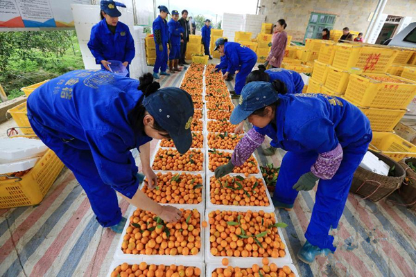 �����ڰ��������ҽ��ũҵ�ۺϱ�׼��ʾ��������