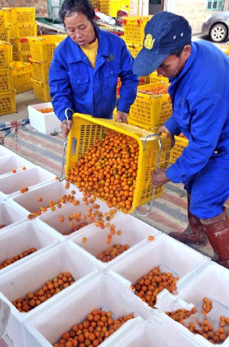 �����������ڰ��ش����ִ�Ľ�ũ�ڰ�װ�ղ�ժ�Ľ��׼��������