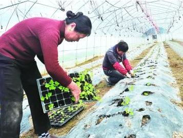 ������Ϫ�������ӡ�������ɫϷ