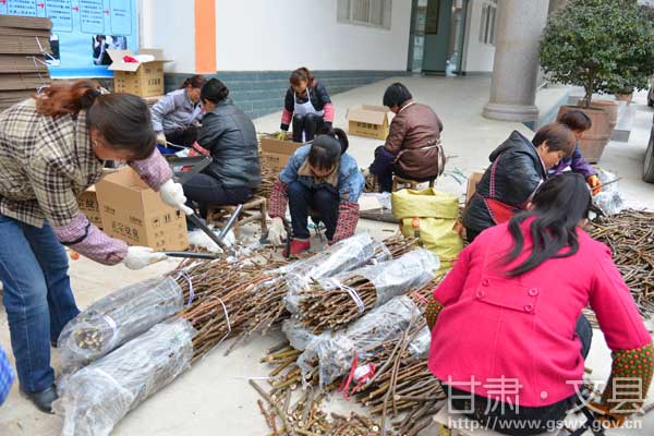 ��������׼��49.6��֦����ץ�ú��Ҹ߽ӻ��Ź���