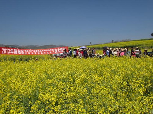 ϱɽ¡ũ2014Ͳ˸߲ﻯ