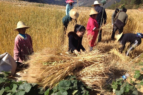 Ϫжɽػչ2014Сʵز