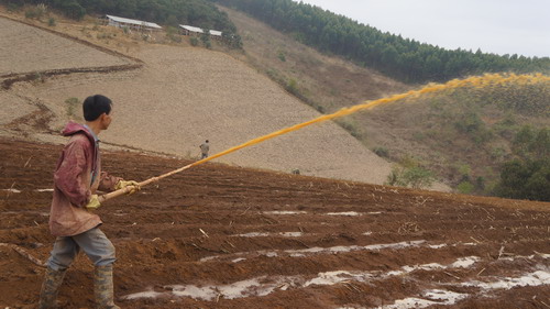 ������˼�����ƹ�ƾ�����Һ���ܸ���