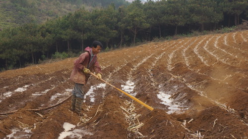 ������˼�����ƹ�ƾ�����Һ���ܸ���2