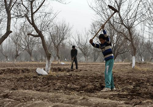 新疆春耕工作陆续展开