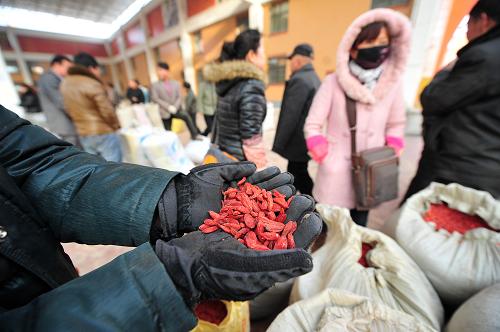 311գ载гڣ̷鿴ѡ轡