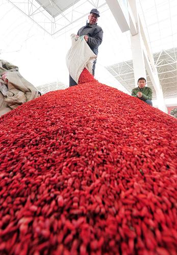 311գ载гڣ̷㵹׼ס