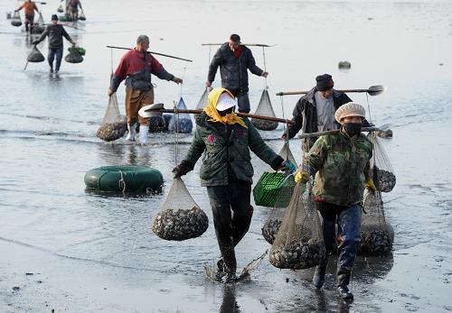 310գڴиʾ̲Ϳϣ̱ˡ̵ıϰ