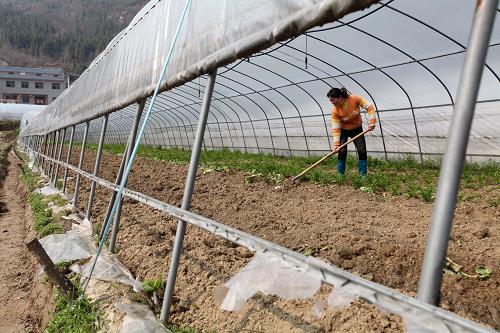 311գйɽҺӴҫڴأ׼һֲ