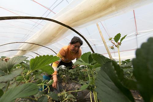 311գйɽҺӴҫݮӲݡ