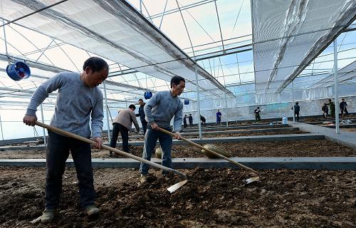 310գרҵӡںʡ޴ҴϵĴ硣