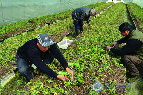 㽭ˣƤʯ ÿۼ۽2000Ԫ